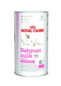 BABYCAT MILK 300 G ROYAL CANIN