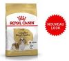 Croquette pour CAVALIER KING CHARLES adulte ROYAL CANIN