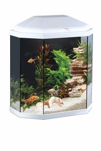 AQUARIUM CIANO 30 LED BLANC