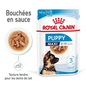 MAXI PUPPY SAUCE Lot de 10