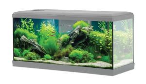 AQUA TANA GRIS 80 CM