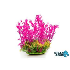 PLANTE SUR PIED 12 CM 526