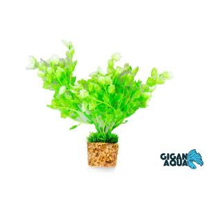 PLANTE AQUA SOCLE 20 CM 5
