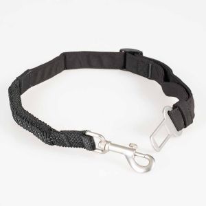 TRAIL CEINTURE DE SECURITE 2 EN 1 NOIR