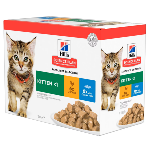 FELINE KITTEN MULTIPACK X12