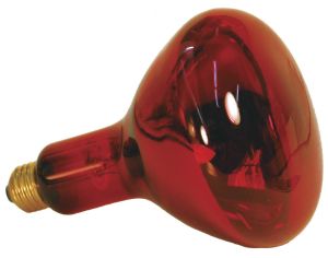 LAMPE CHAUFFANTE INFRA ROUGE ZOO MED 250 W
