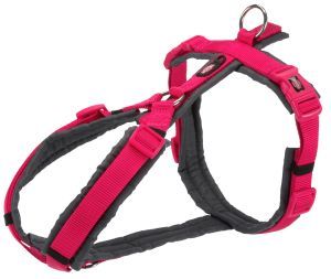 HARNAIS TREKKING FUSHIA/GRIS GRAPHITE S