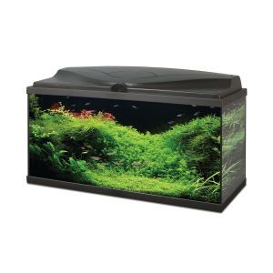 AQUARIUM CIANO 80 LED NOIR