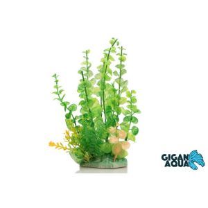 PLANTE SUR PIED 24 CM 540