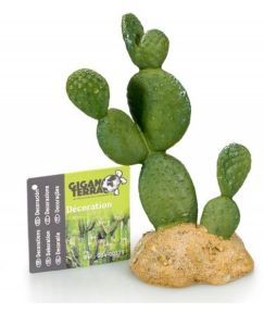 DECOR CACTUS 7  10,5 X 7 X 14 CM