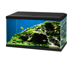 AQUARIUM CIANO 60 LED NOIR CF80