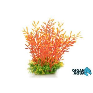 PLANTE SUR PIED 18/22 CM 537