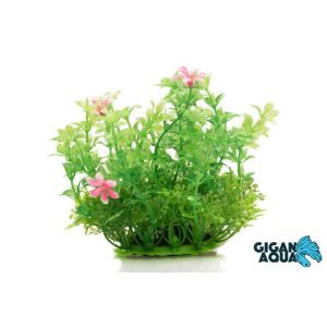PLANTE SUR PIED 12 CM 528