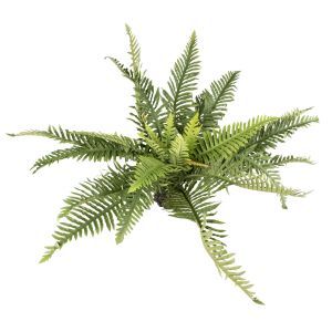 TERRA DELLA PLANTE FOUGERE XL 62 X 60 X 45 CM