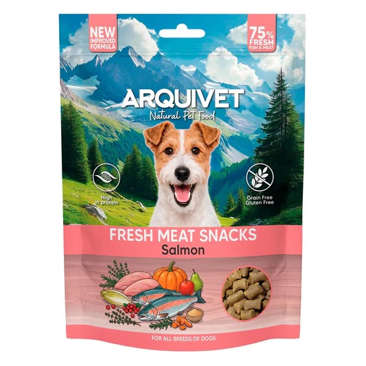SNACK VIANDE FRAICHE SAUMON 300 GR