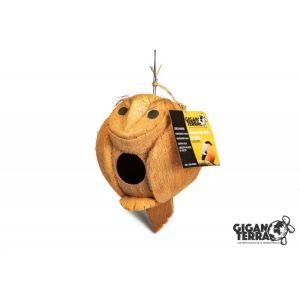 COCONUT HIBOUX