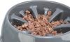 GAMELLE ANTI GLOUTON EN PLASTIQUE 20 CM