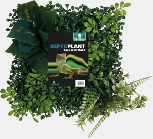 MUR VEGETAL REPTO PLANT BACK WALL S 2