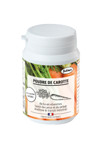 POUDRE DE CAROTTE 60 GR