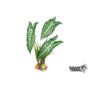 PLANTE EFFET MOUILLÉ 844 30 X 16 X 48 CM