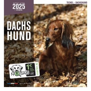 CALENDRIER TECKEL 2025