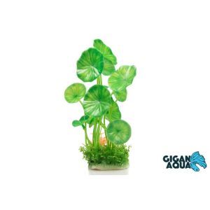 PLANTE SUR PIED 18/22 CM 541