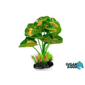 PLANTE AQUA 22 CM 660
