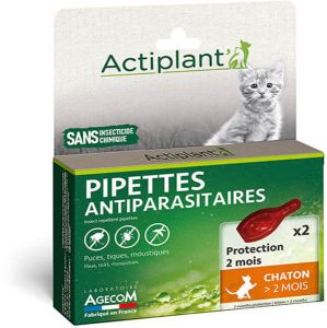 PIPETTE ECO SPOT CHATON