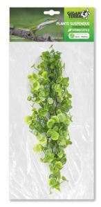 PLANTE SUSPENDUE HYDROCOTILE 46 CM