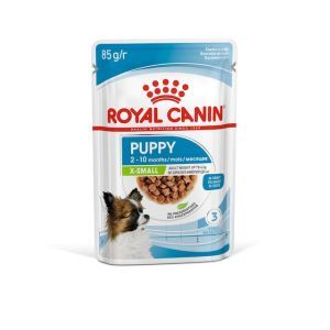 PUPPY X SMALL SAUCE Lot de 12