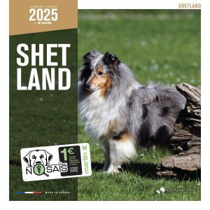 CALENDRIER SHETLAND 2025