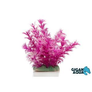 PLANTE SUR PIED 12 CM 522