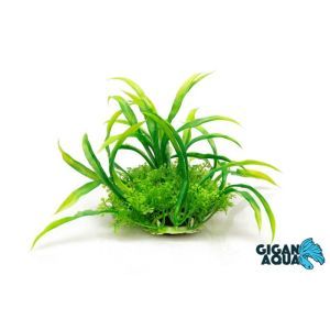 PLANTE SUR PIED 12 CM 527