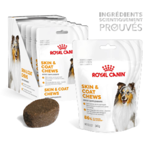 ROYAL CANIN ADULT SKIN & COAT SUPPLEMENT 240 GR X 5