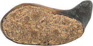 CORNE DE BUFFLE FARCI AU NERF ET DENDON DE BUFFLE 10-14 CM