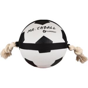 ACTIONBALL M