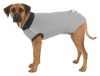 BODY DEPROTECTION POUR CHIEN 25 CM