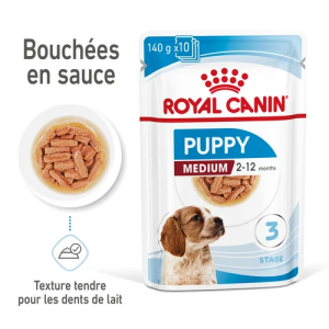 MEDIUM PUPPY SAUCE Lot de 10