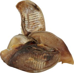 SABOT DE BOEUF