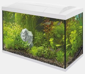 AQUARIUM START 70 TROPICAL BLANC