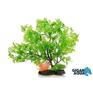 PLANTE SUR PIED 28 CM 531