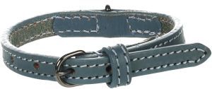 COLLIER CUIR DENVER BLEU S