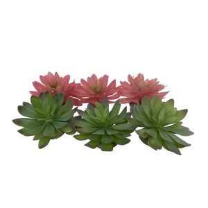 DECOR ECHEVERIA 2 14 x 12,5 x 9,2 CM