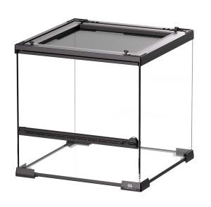 TERRARIUM EN VERRE 20 X 20 X 20 CM NOIR TERRA DELLA