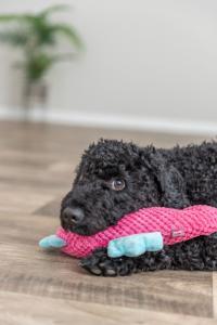 PELUCHE HIPPOCAMPE 28 CM ROSE