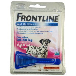 FRONTLINE  20/40 KG 1 PIPETTE