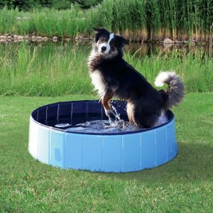 PISCINE POUR CHIENS S 80 × 20 CM