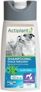 SHAMPOING ACTIPLANT USAGE FREQUENT 250 ML