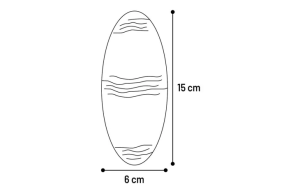 OS DE SEICHE 15 CM