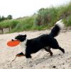 FRISBEE FLOTTANT EN TPR TRIXIE M